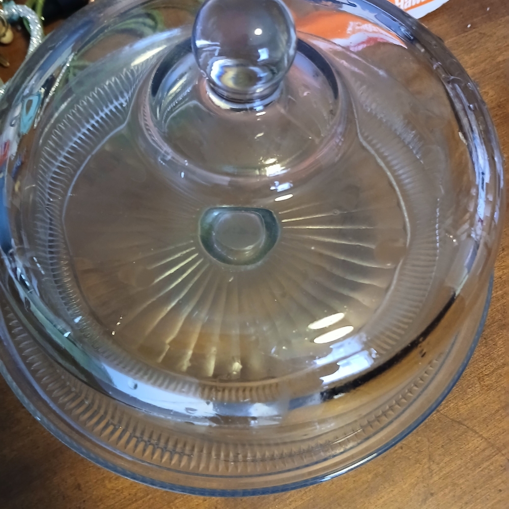 Glass Food Storage Container with Lid